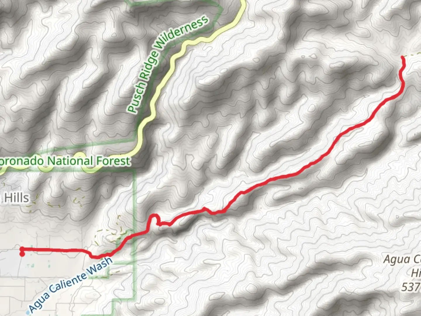 An image depicting the trail La Milagrosa via East Horsehead Road and its surrounding area.
