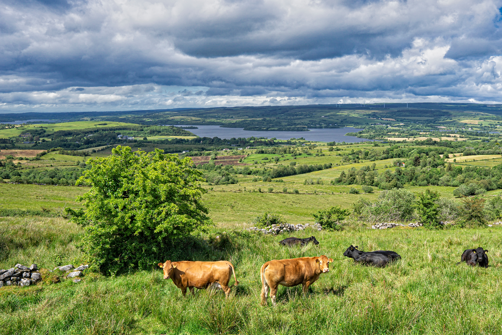 An image depicting the trail Cavan Burren Park - Promontry Fort Trail and its surrounding area.