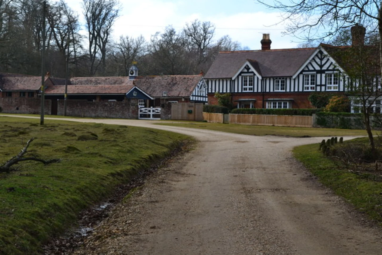 An image depicting the trail Allum Green Short Loop and its surrounding area.