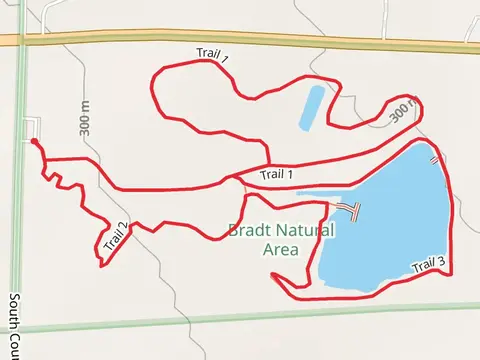 Trail 1, Trail 2 and Trail 3 Loop