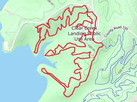 Beginner and Intermediate Loop