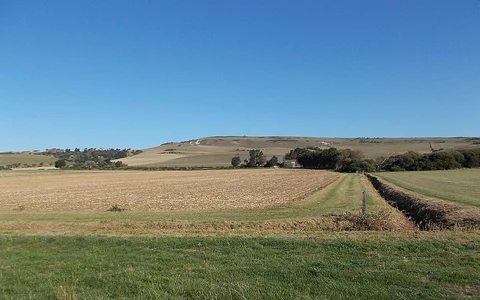 An image depicting the trail Rowborough Bottom, Limerstone Down and Fore Down Loop and its surrounding area.