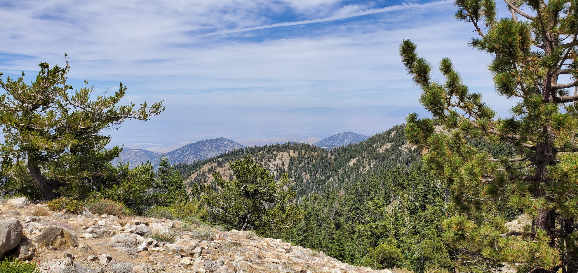 An image depicting the trail Sawmill Mountain and Mount Pinos and its surrounding area.