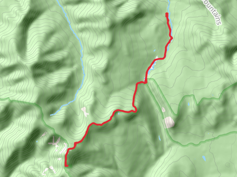 Mount Zealand and Mount Guyot via Zealand Pond and River