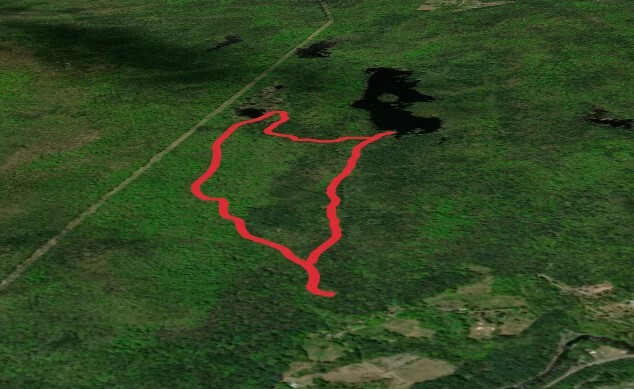 McLeod Pond via Pine Hill