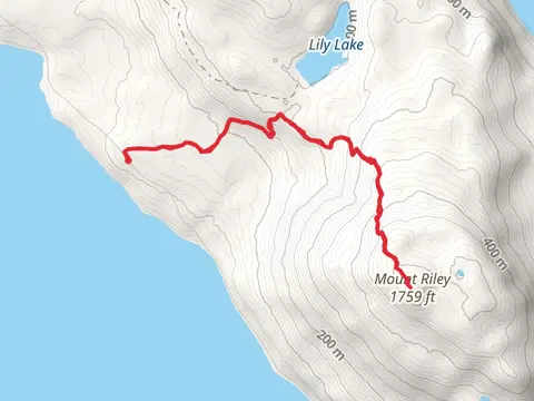 Mount Riley Out and Back Trail