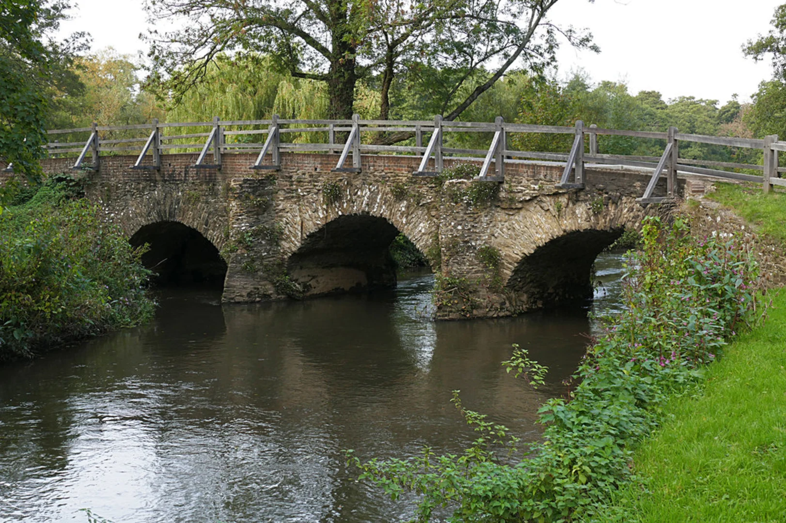 An image depicting the trail Godalming and Eashing Loop and its surrounding area.