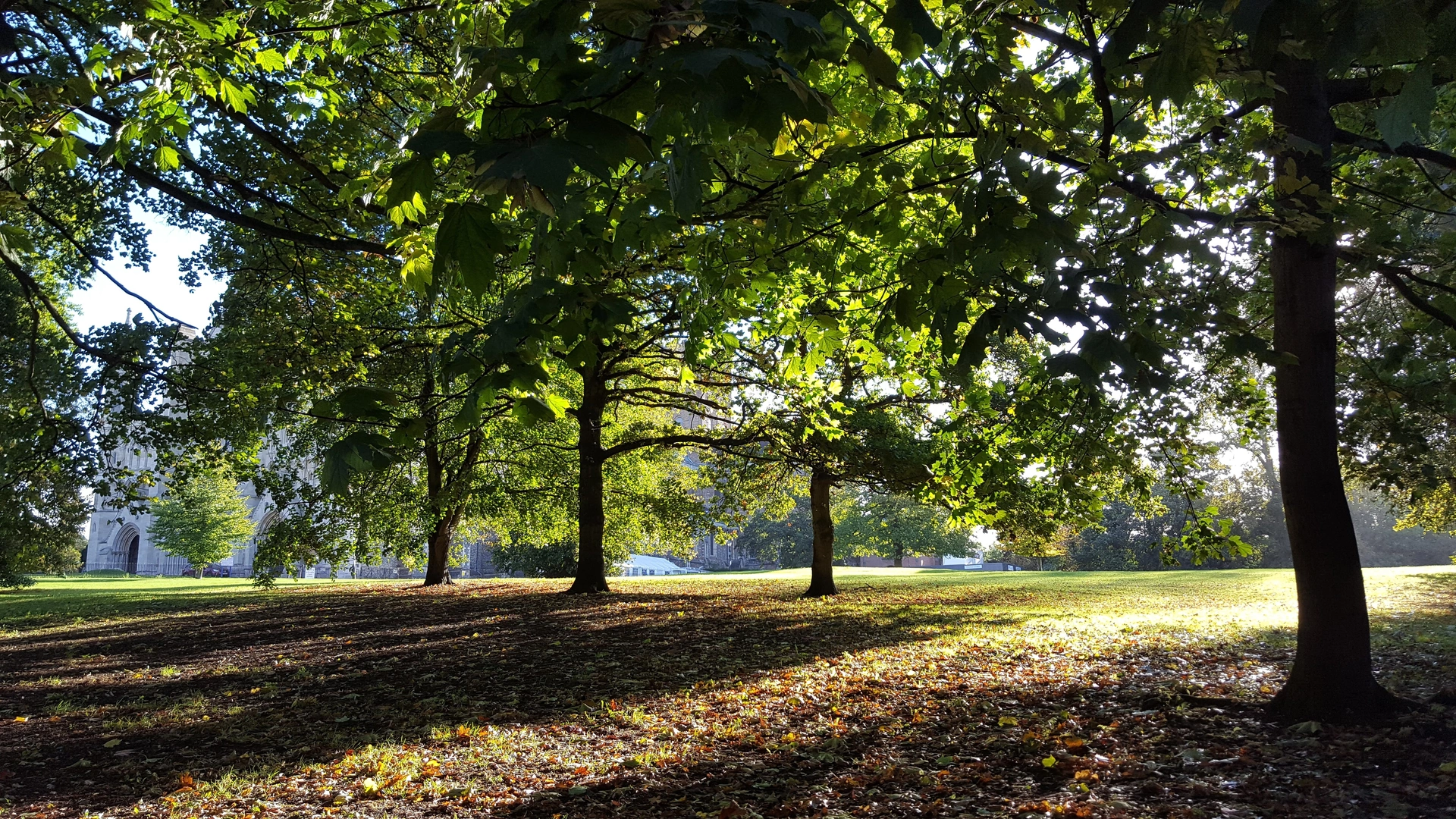 An image depicting the trail Kensworth to Bricket Wood Walk and its surrounding area.