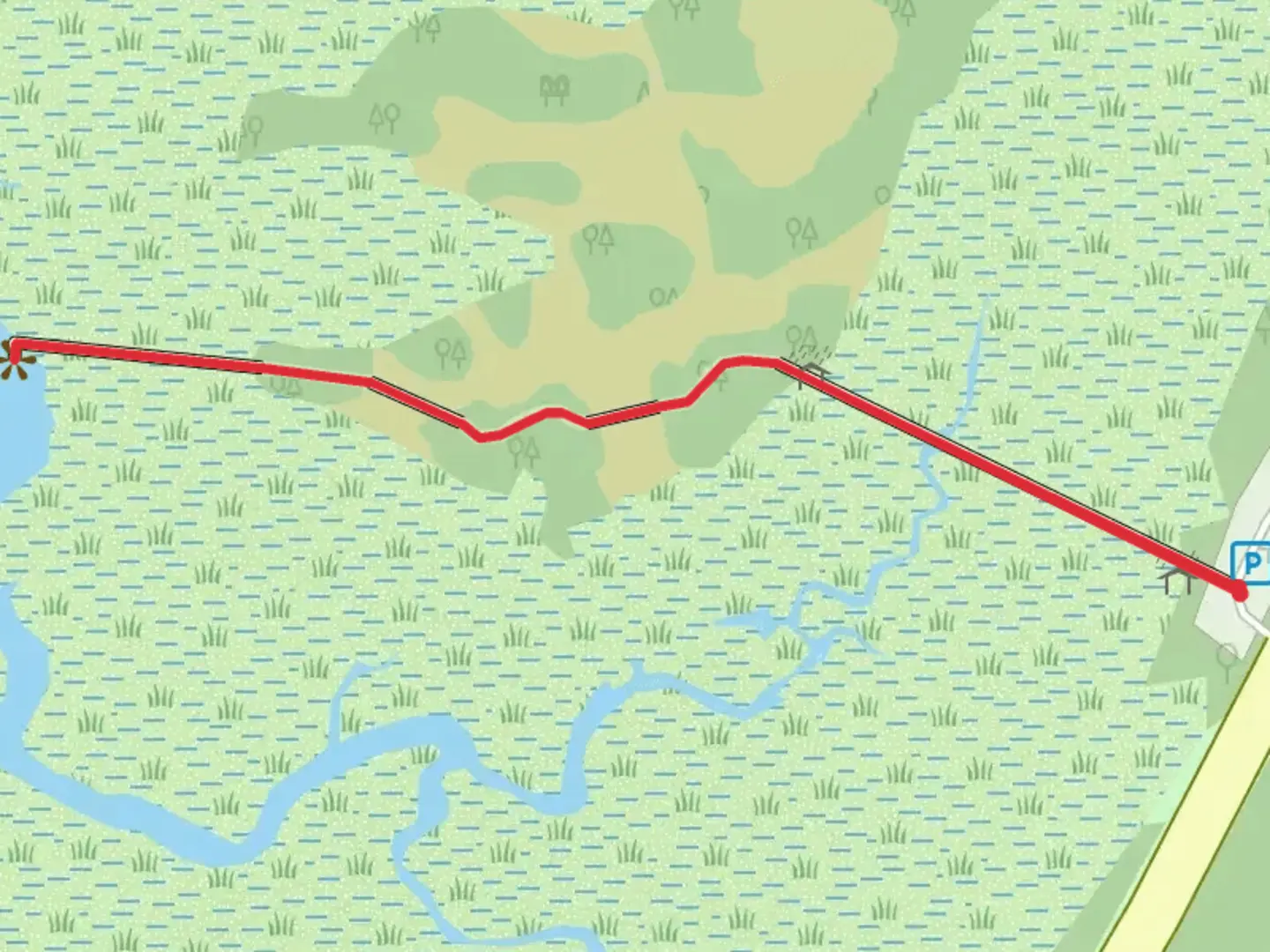 An image depicting the trail Hunting Island Marsh Boardwalk and its surrounding area.