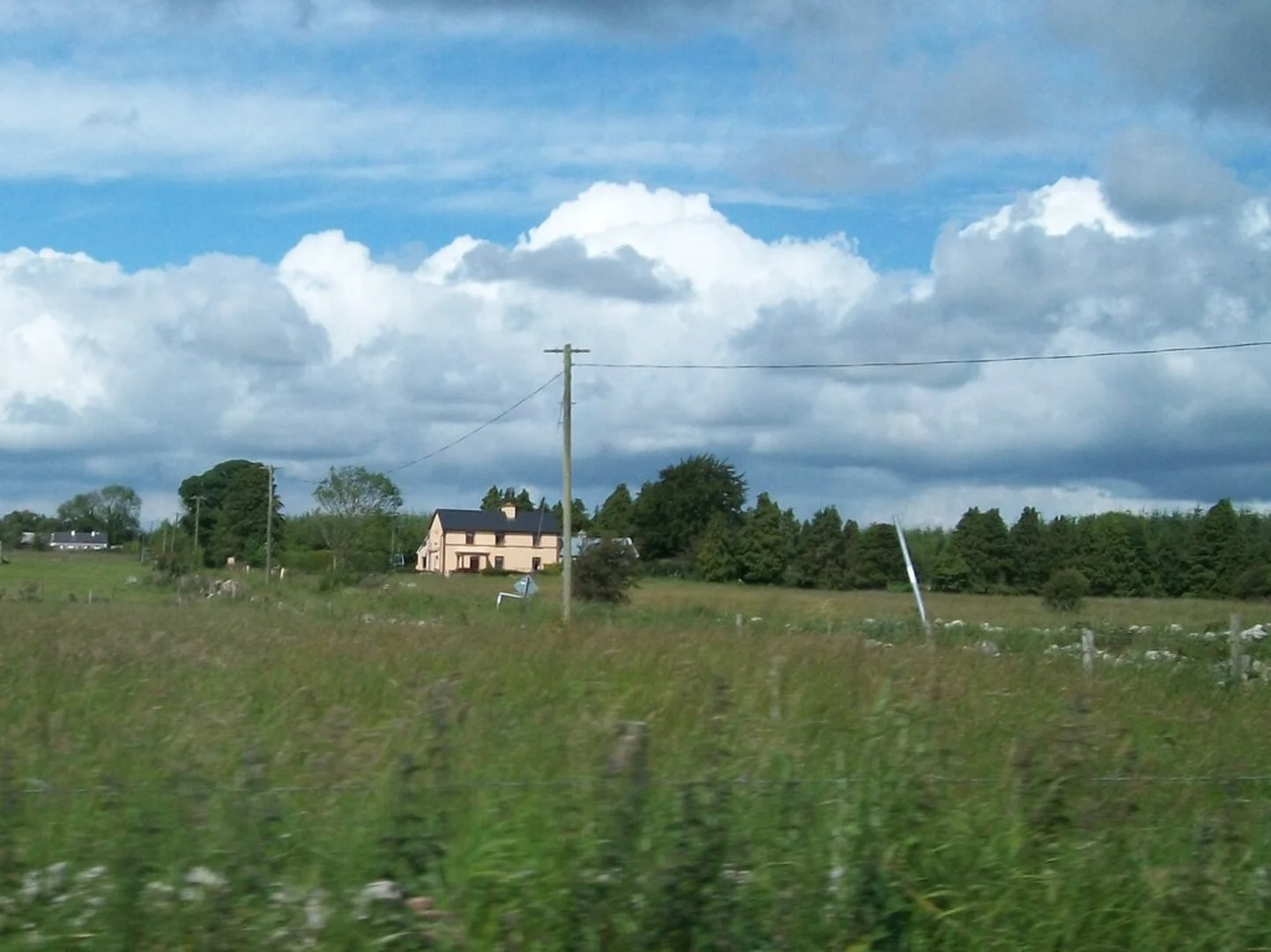 An image depicting the trail Crummy Loop and its surrounding area.