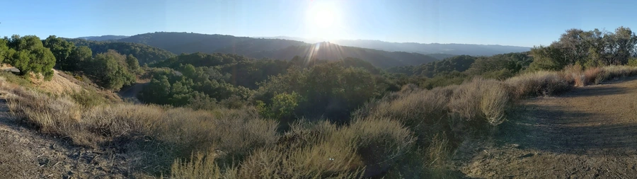 Steep Hollow and Los Trancos Loop Trail