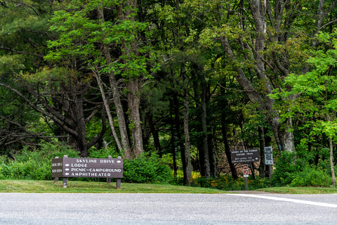 An image depicting the trail Lewis Falls Loop Trail and its surrounding area.