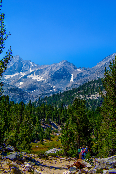An image depicting the trail Morgan Pass Trail and its surrounding area.
