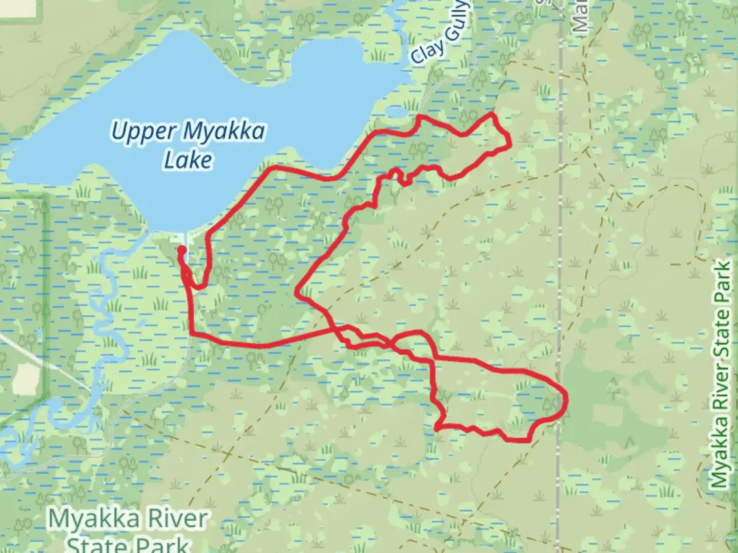 An image depicting the trail Myakka Hiking Trail Loop and its surrounding area.