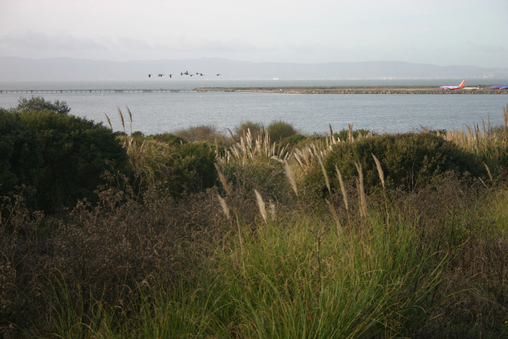An image depicting the trail Oyster Bay Regional Shoreline Loop via San Francisco Bay Trail and its surrounding area.