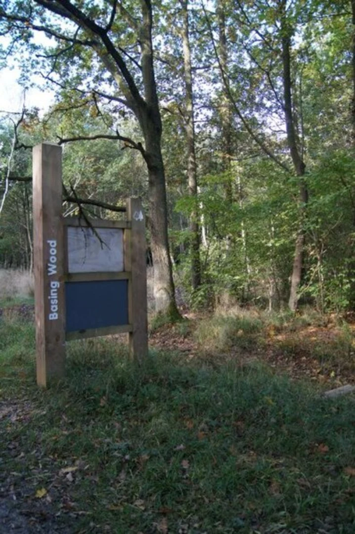 An image depicting the trail Basing Wood and great Germans Copse Loop and its surrounding area.