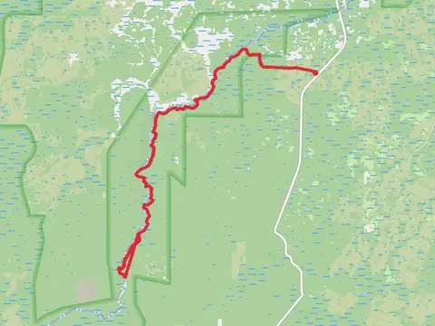 Aucilla River and Florida Trail