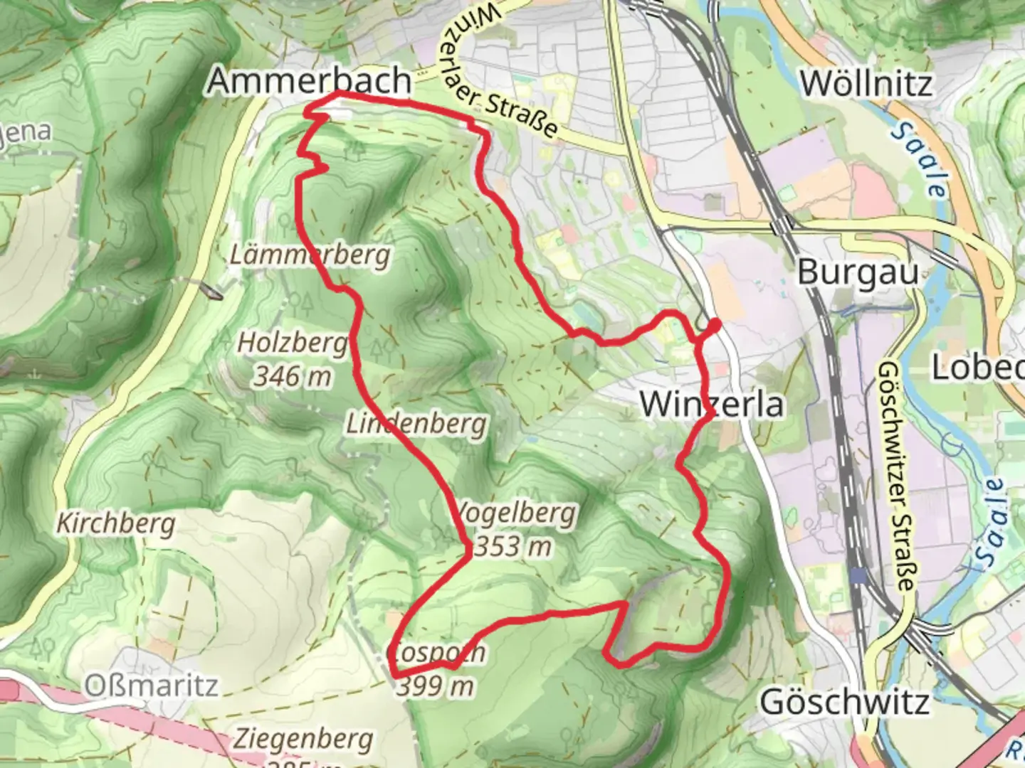 An image depicting the trail Stein Labyrinth, Cospoth and Lammerberg Loop and its surrounding area.