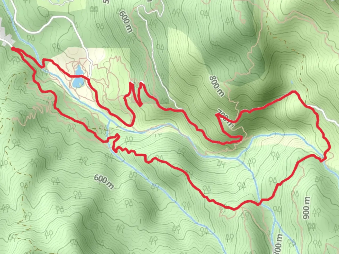 An image depicting the trail Salt Creek Loop and its surrounding area.