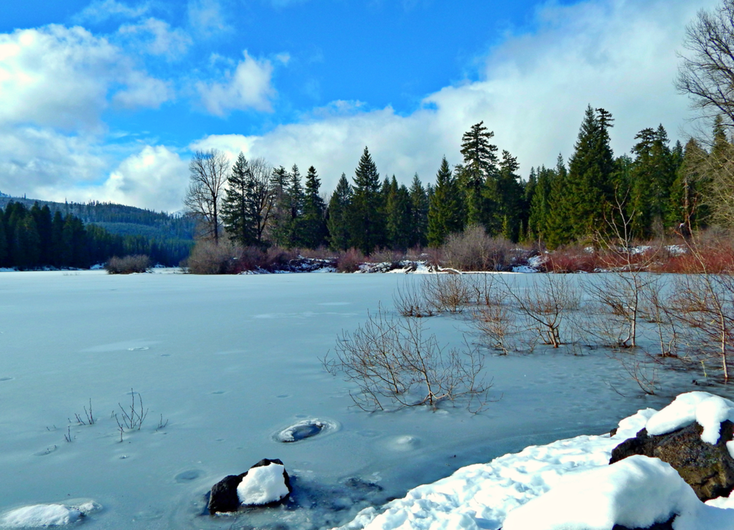 An image depicting the trail Santiam Wagon East Trail and its surrounding area.