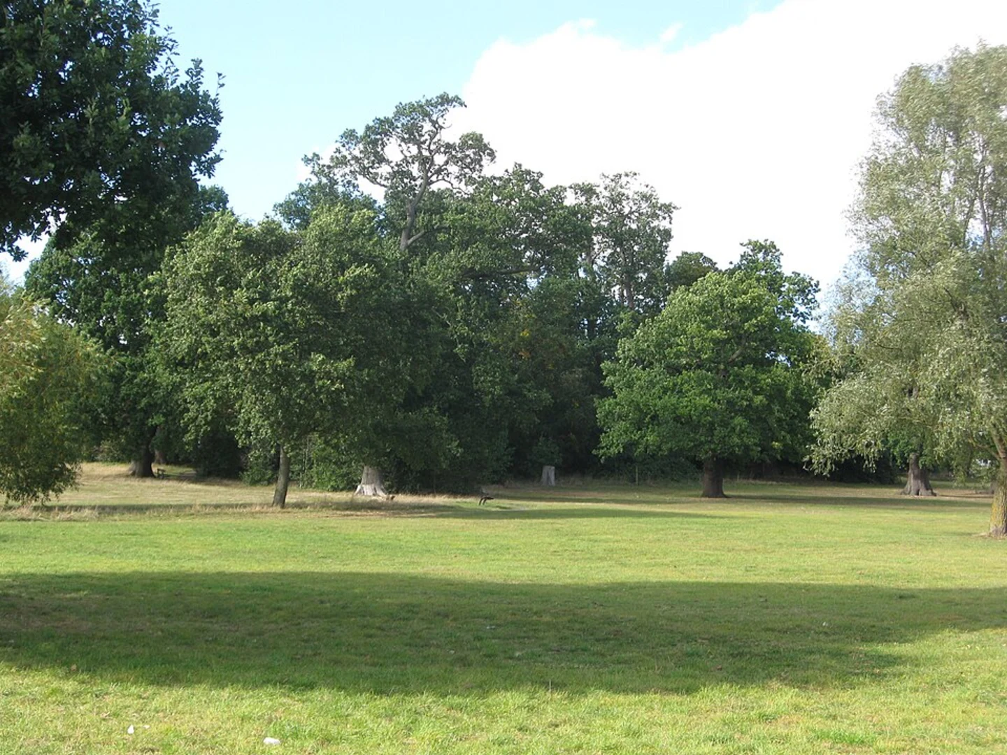 An image depicting the trail Crystal Palace to Streatham Common Walk and its surrounding area.