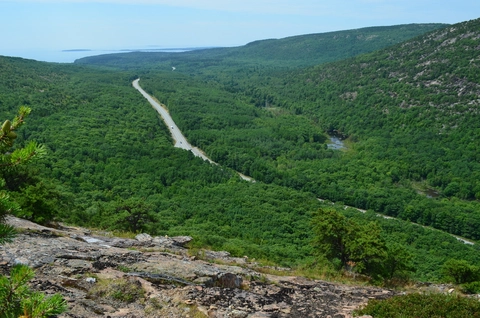 An image depicting the trail Champlain Mountain and its surrounding area.