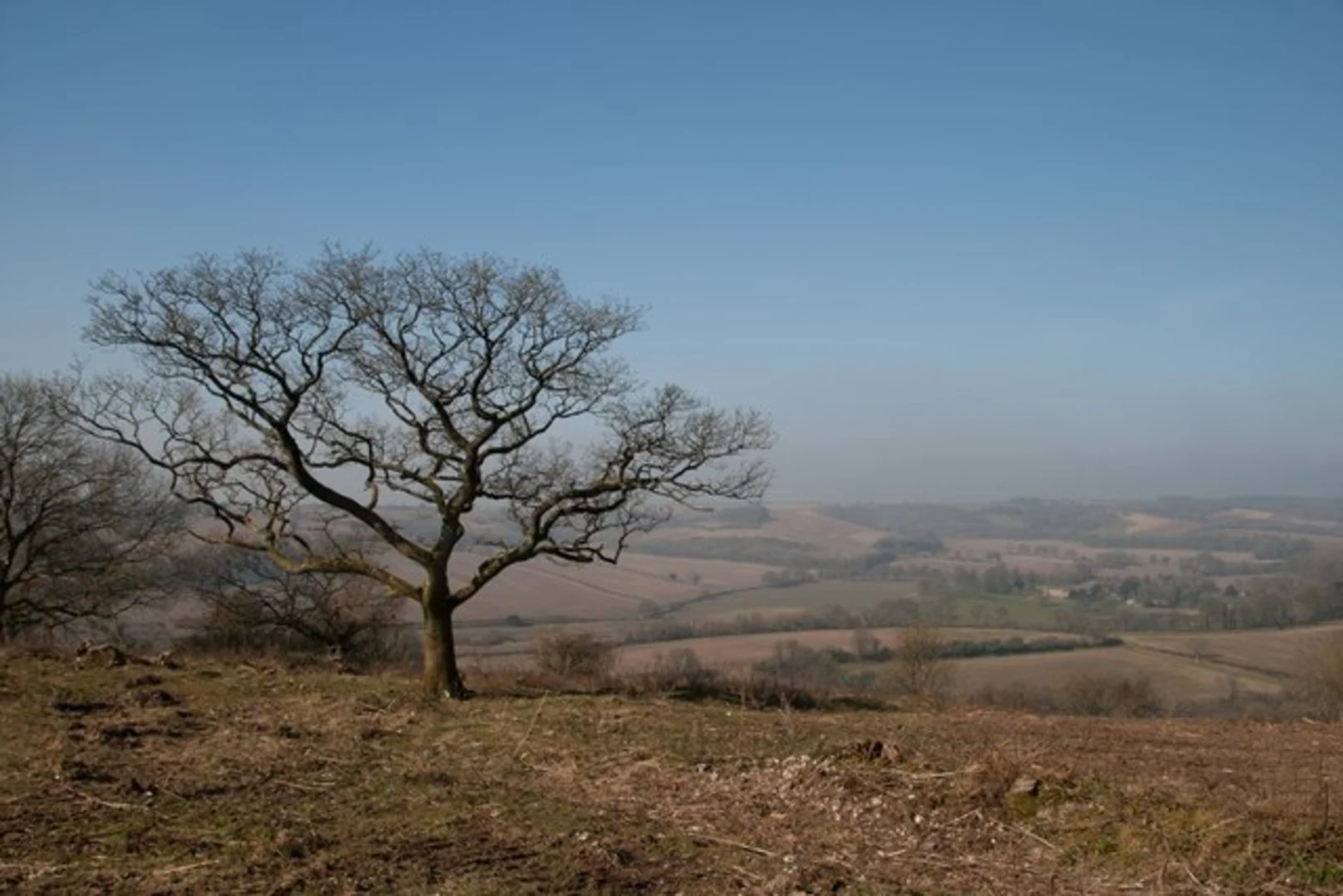 An image depicting the trail Maiden Castle to Alton Pancras Walk and its surrounding area.