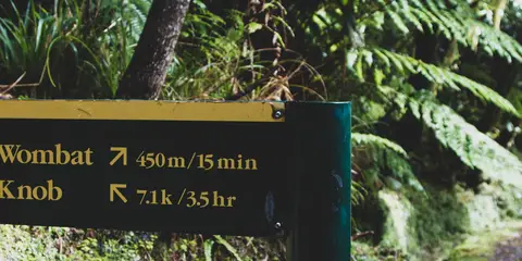 An image depicting the trail Lake Wombat Walk and its surrounding area.