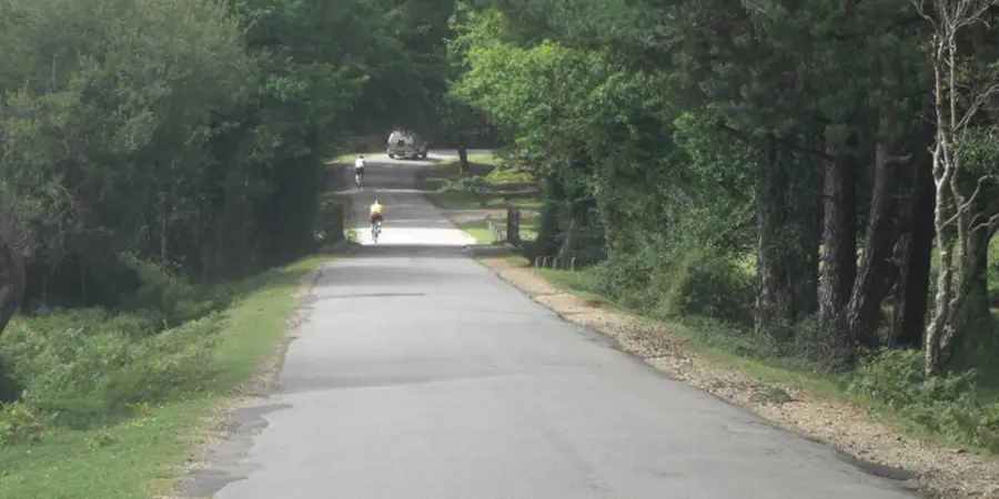 Rhinefield Walk near Brockenhurst