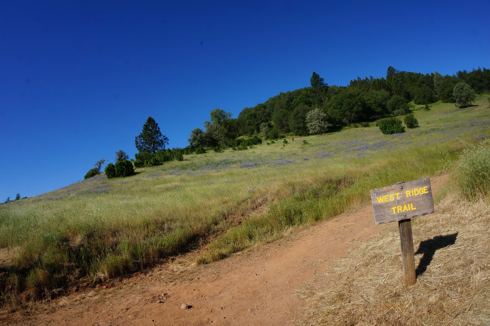 An image depicting the trail Down and Up Trail and Cronan Ranch Road Loop and its surrounding area.