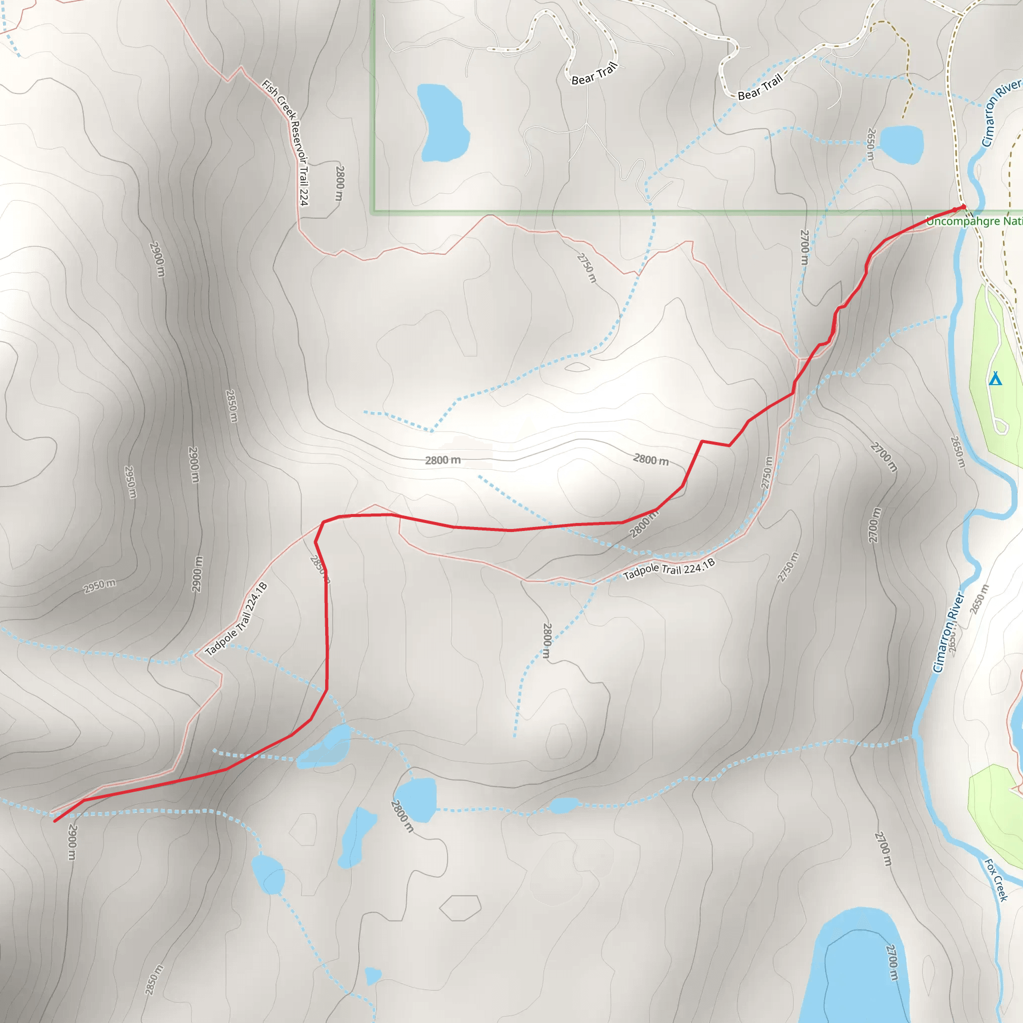 Tadpole Trail mobile static map