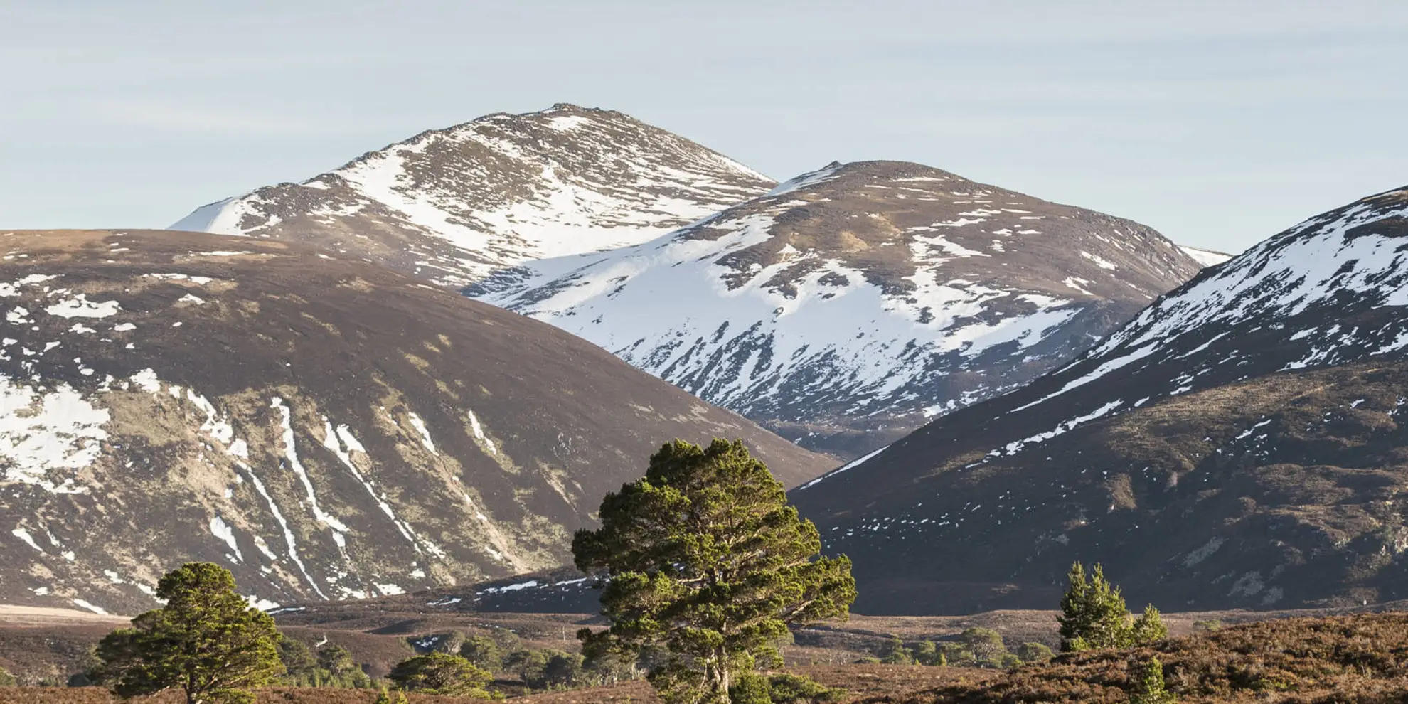 An image depicting the trail Bynack More and Saddle from Glenmore and its surrounding area.