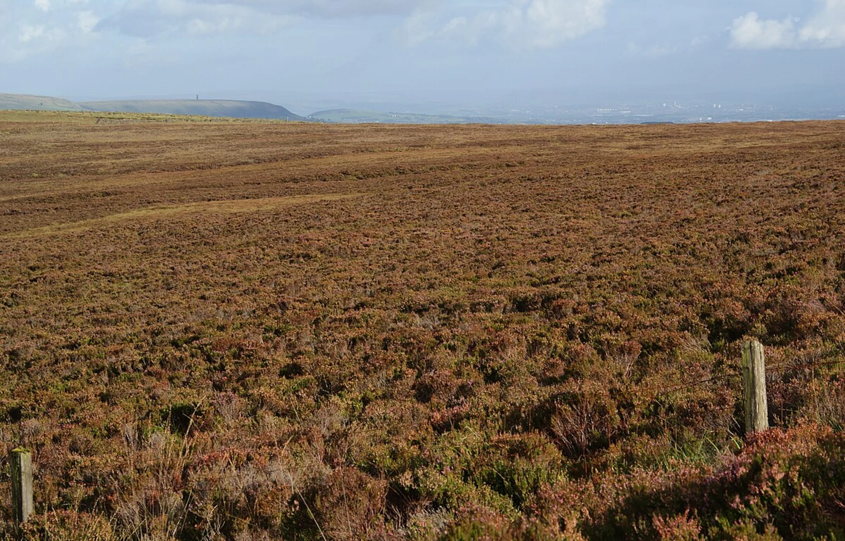 An image depicting the trail Darwen Hill Loop and its surrounding area.