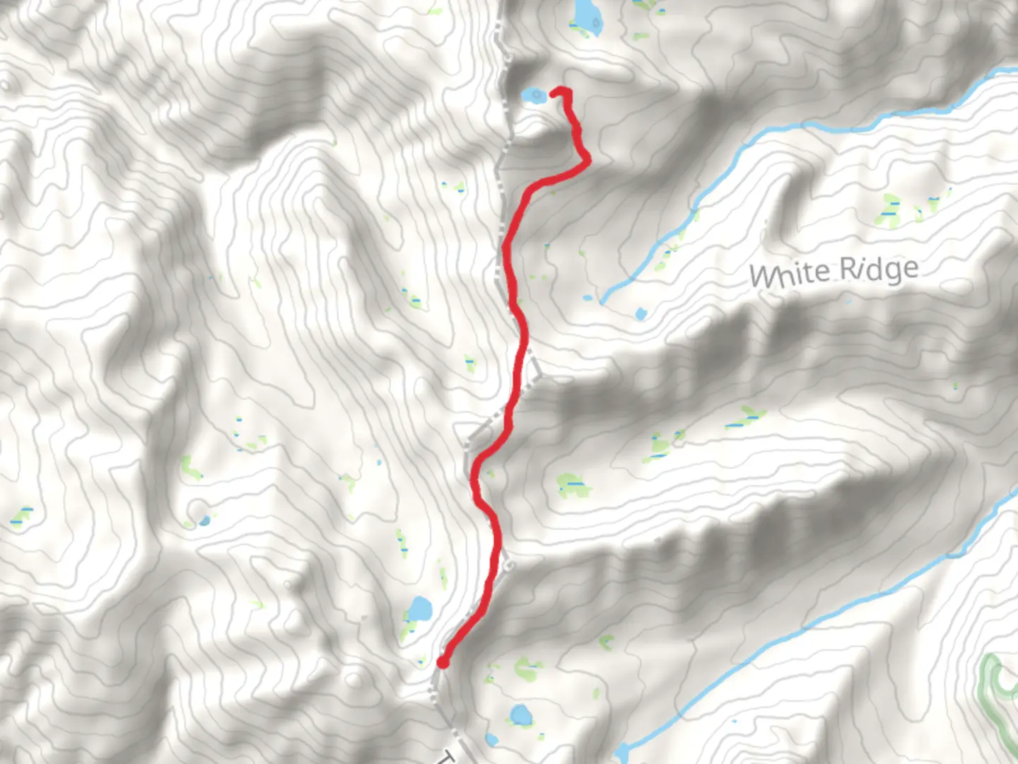An image depicting the trail Porcupine Lake via Pacific Crest Trail and its surrounding area.