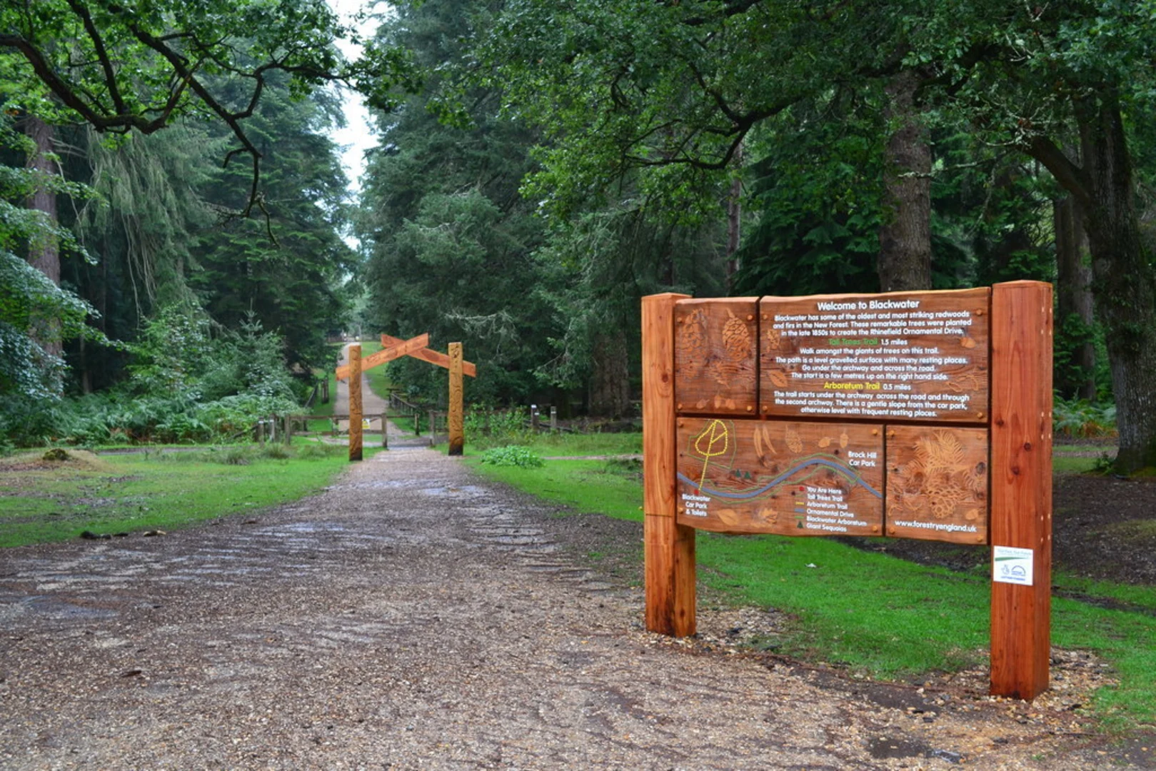 An image depicting the trail Blackwater Arboretum Trail and its surrounding area.