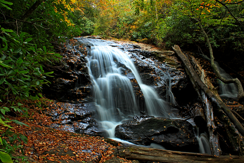 An image depicting the trail Mooney Falls Trail and its surrounding area.