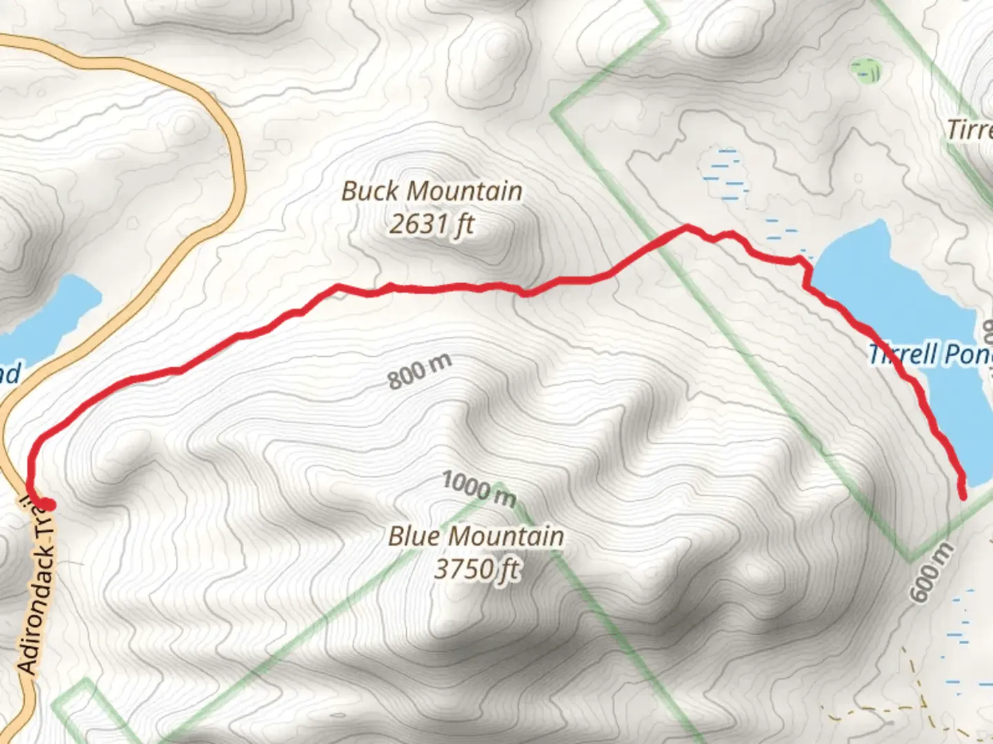 An image depicting the trail Tirrell Pond Trail and its surrounding area.