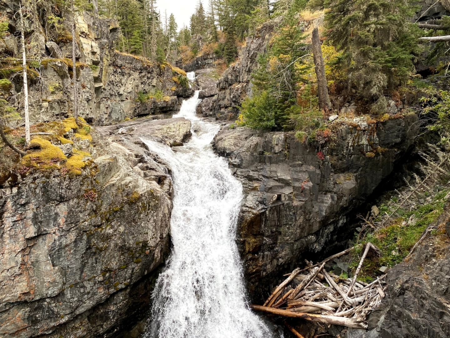 An image depicting the trail Big Timber Creek Trail and its surrounding area.