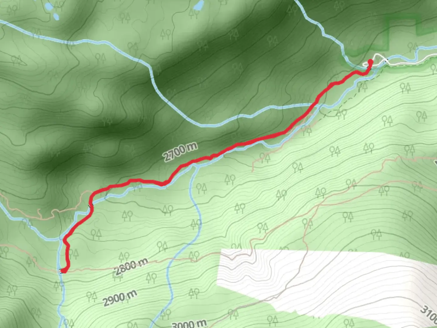 An image depicting the trail Calypso Cascades via Wild Basin Trail and its surrounding area.