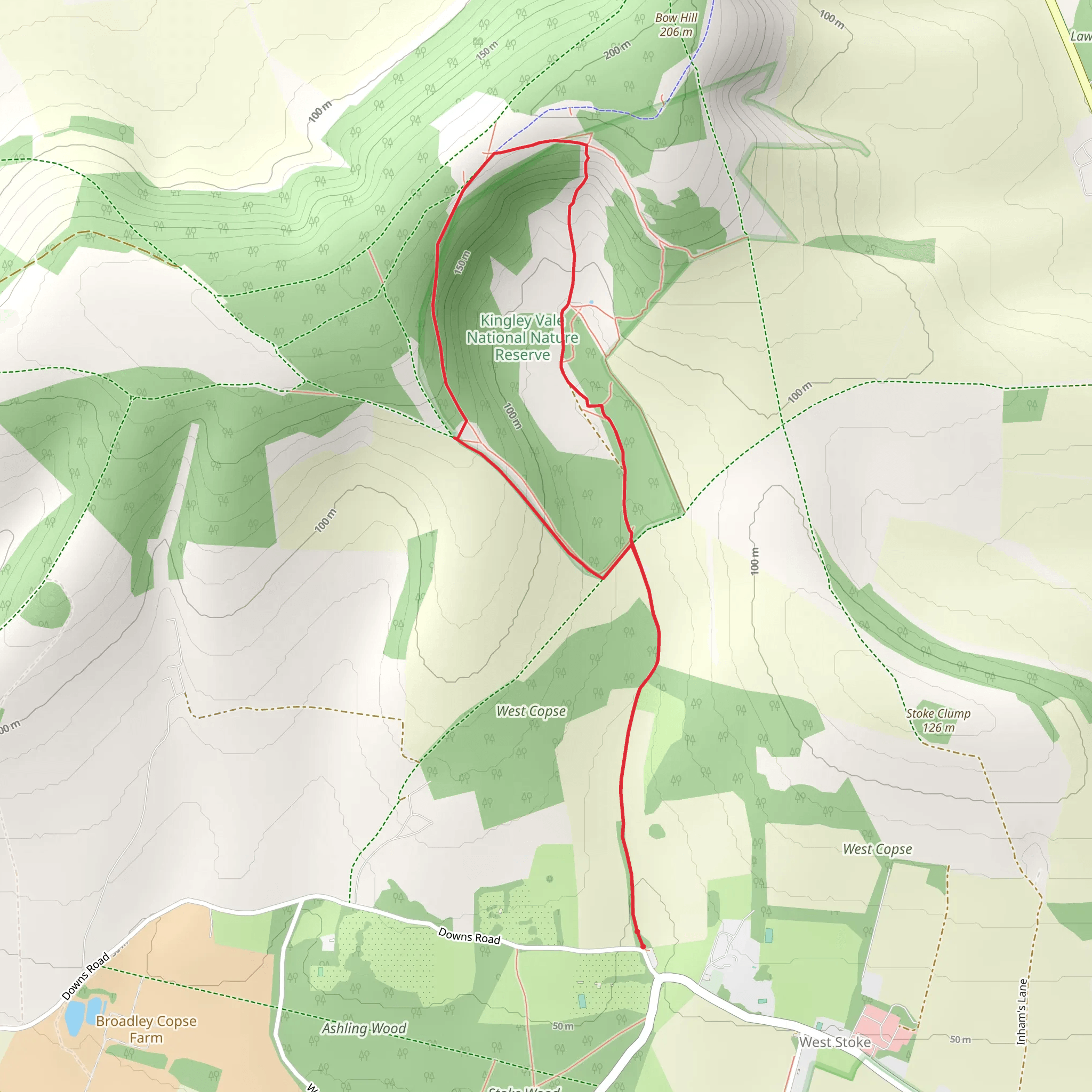 Kingley Vale National Nature Reserve mobile static map