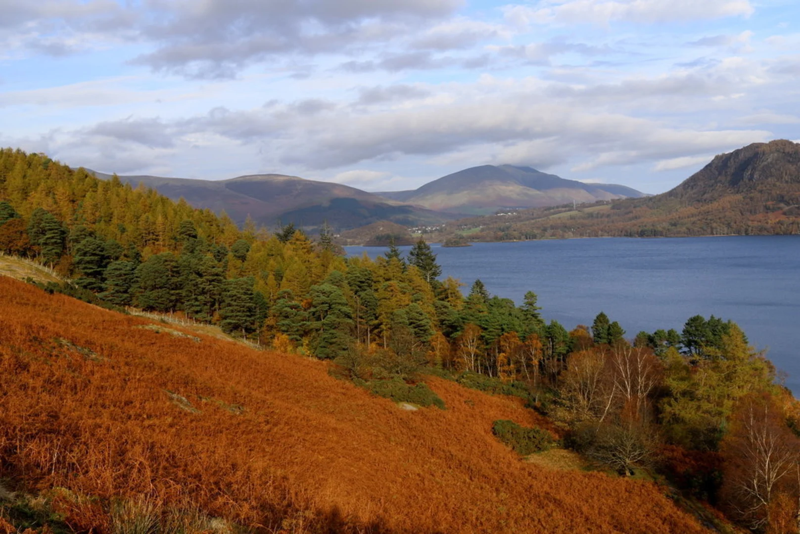 An image depicting the trail Cat Bells from Brandlehow and its surrounding area.