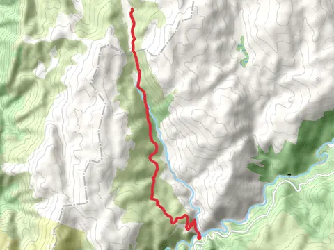 Schlink Hut Walking Track