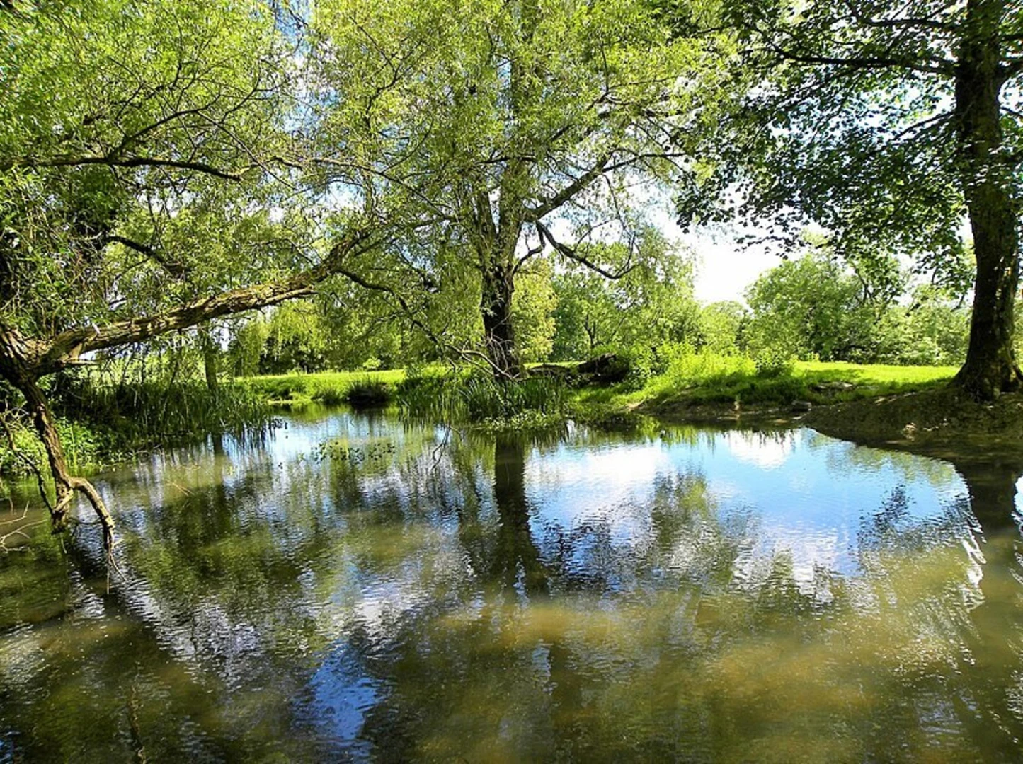 An image depicting the trail Newark Park Walk and its surrounding area.