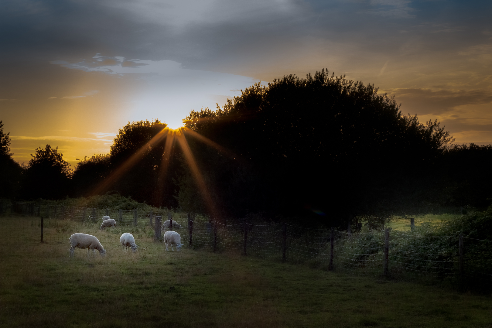 An image depicting the trail Langven and Verdraagzaamheid in Leudal and its surrounding area.