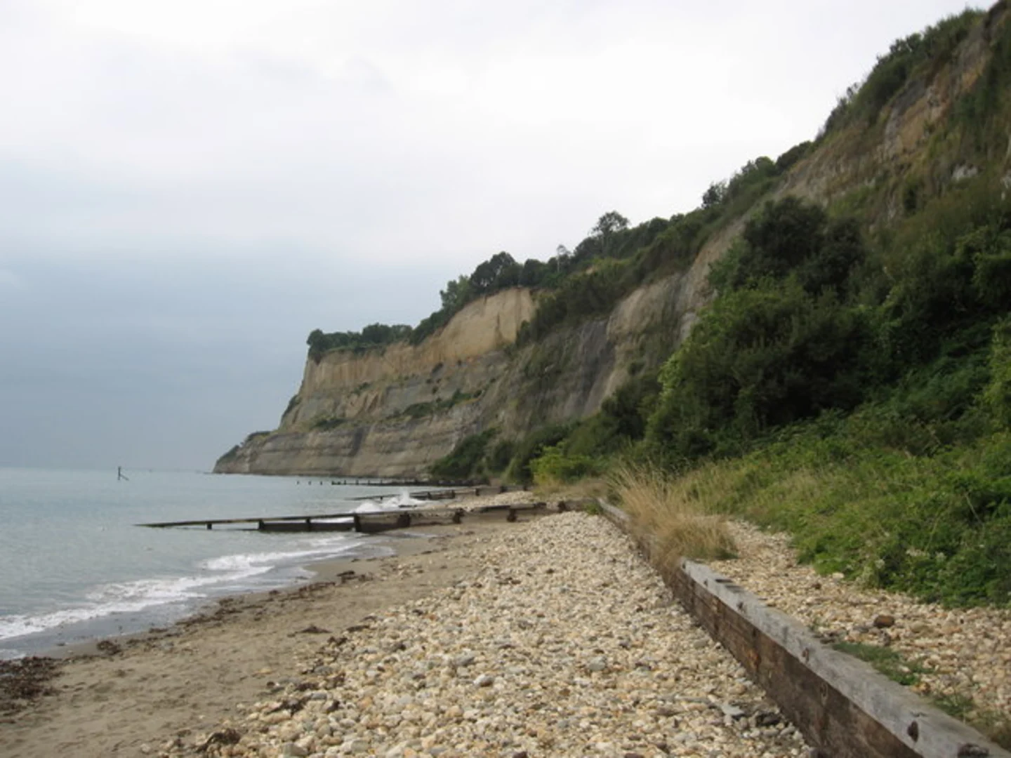 An image depicting the trail Shanklin and its surrounding area.