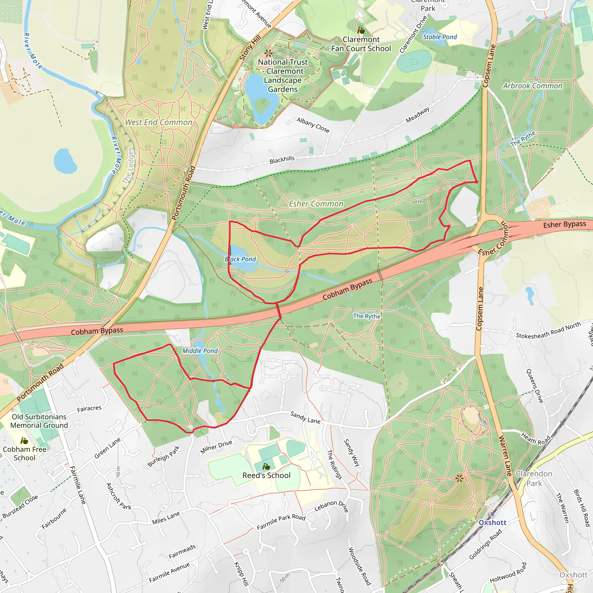 Esher Common mobile static map