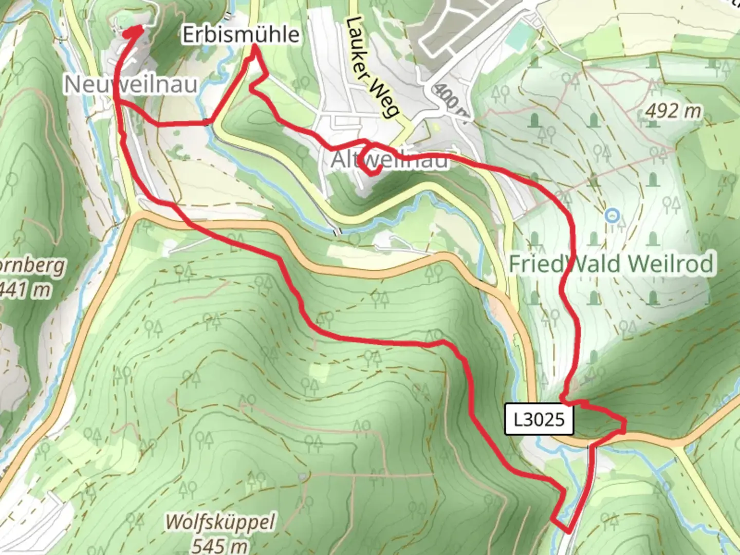 An image depicting the trail Schloss Neuweilnau and Ruine Altweilnau Loop via River Weil and its surrounding area.