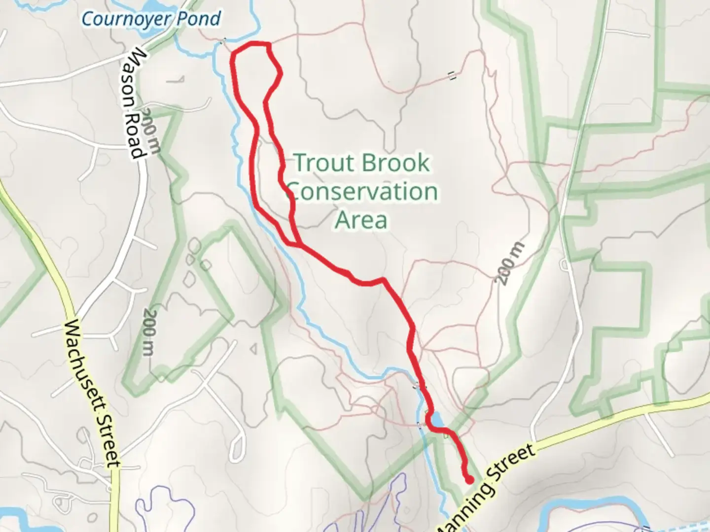 An image depicting the trail Trout Brook and Ball Brook Loop and its surrounding area.
