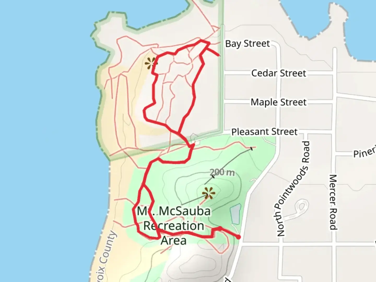An image depicting the trail Mount McSauba Recreation Area Loop and its surrounding area.
