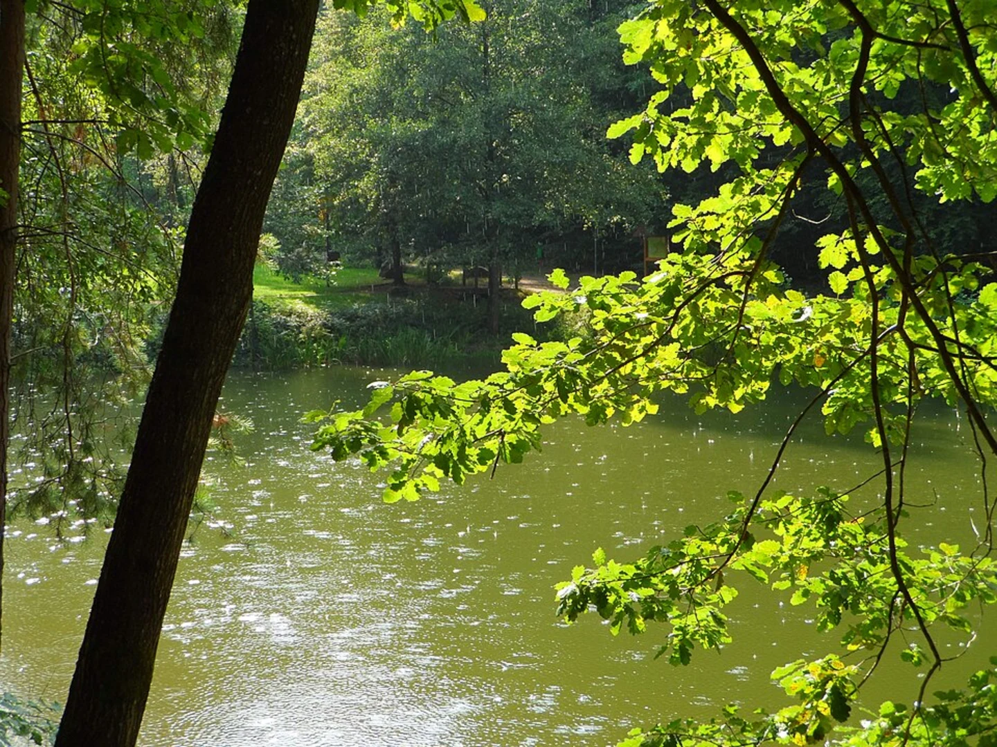 An image depicting the trail Barenlochweiher via Kindsberg and its surrounding area.